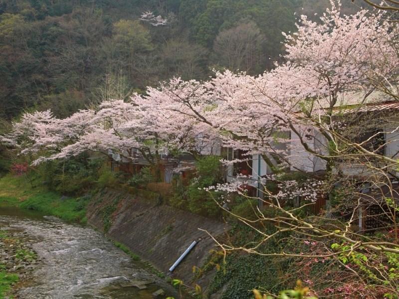 Motoyu Ryokan Atsugi Exterior foto